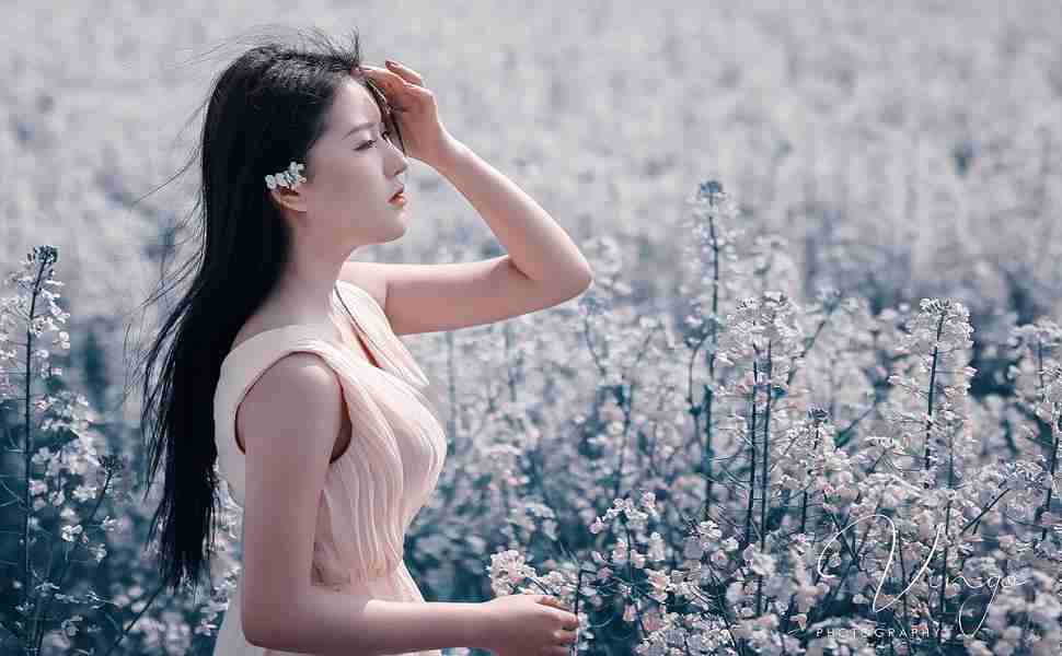 站群流量下降怎么回事