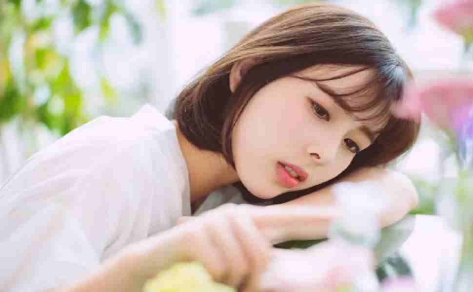 西安市人民政府站群