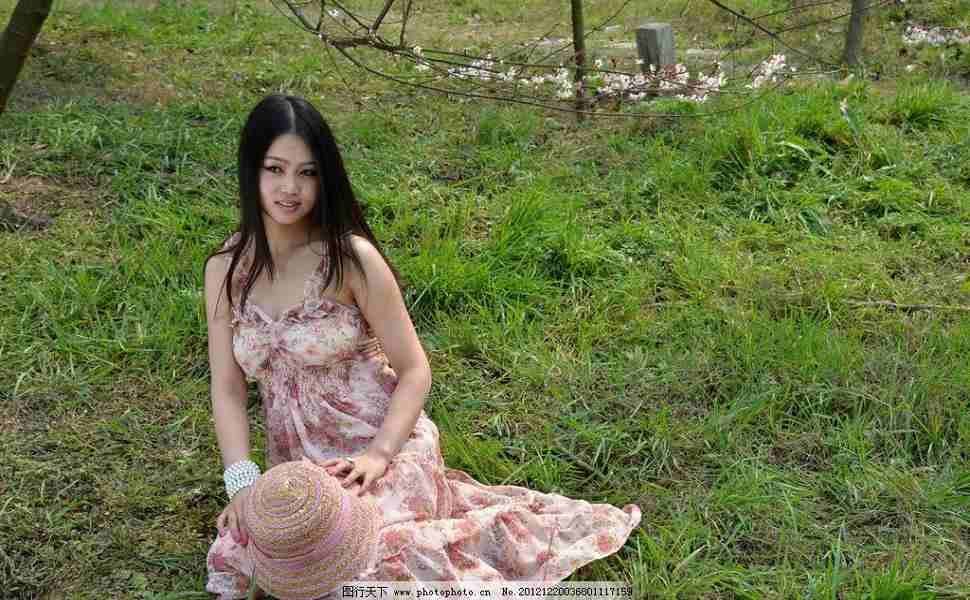 外贸站群服务器